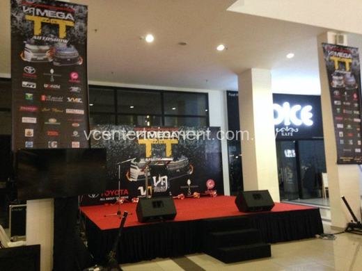 Vell Alp Ultimate Crew Mega TT event photo 4, 2016