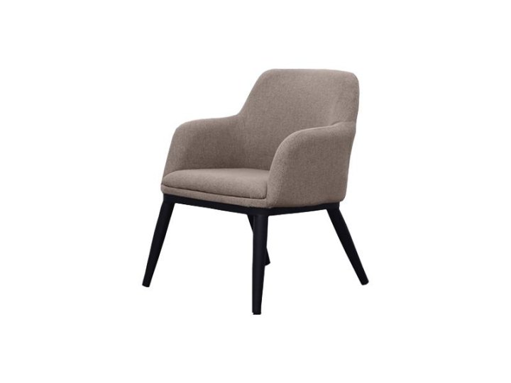 Sofa Armrest Chair