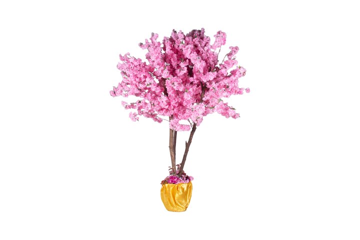Cherry Blossom Tree