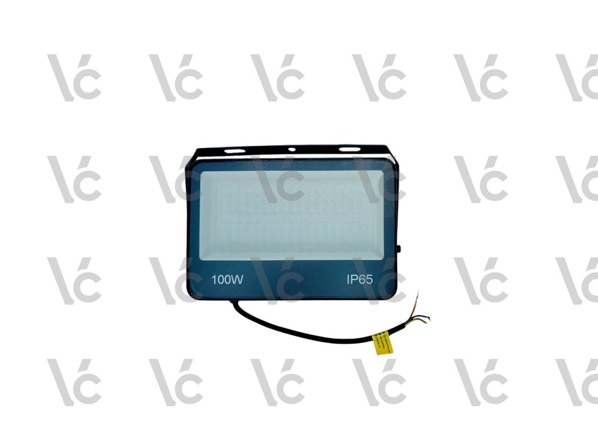 Flood Light 100W